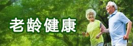 网站备案号